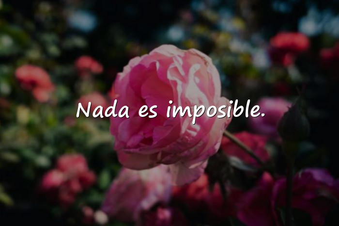 Imágenes frases para perfil - 9