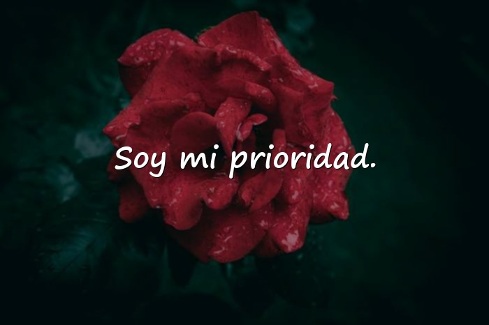 Imágenes frases para perfil - 6