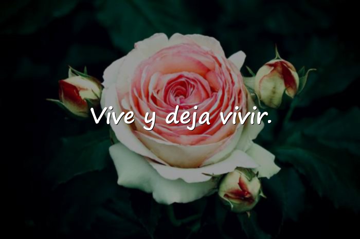 Imágenes frases para poner en whatsapp - 2