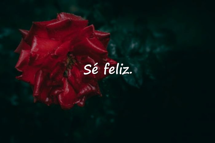Imágenes frases para poner en whatsapp - 1