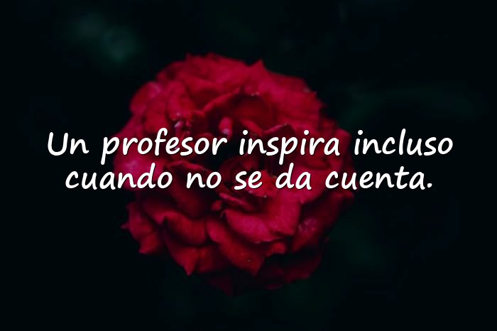 Imágenes frases para profesores - 19