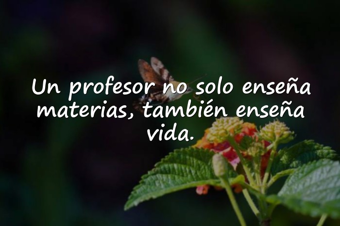 Imágenes frases para profesores - 14