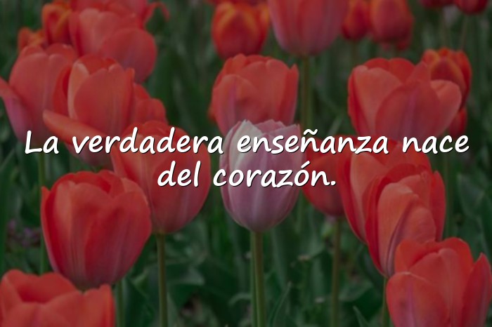 Imágenes frases para profesores - 10