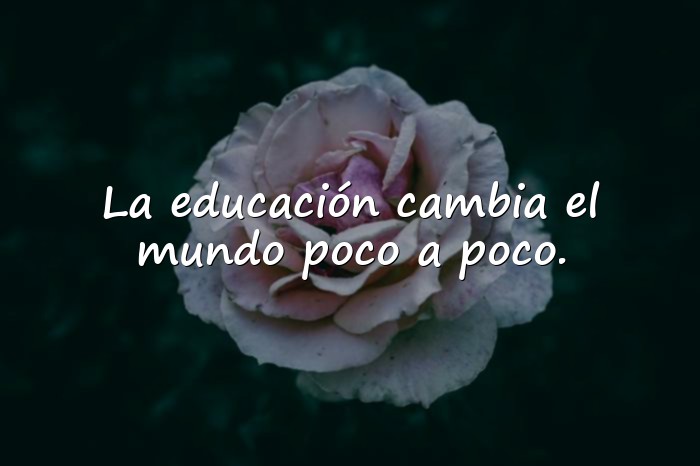 Imágenes frases para profesores - 5