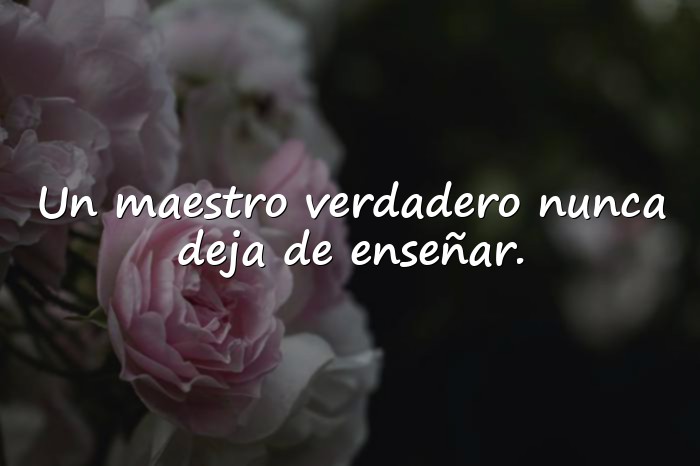 Imágenes frases para profesores - 20