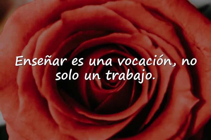 Imágenes frases para profesores - 15
