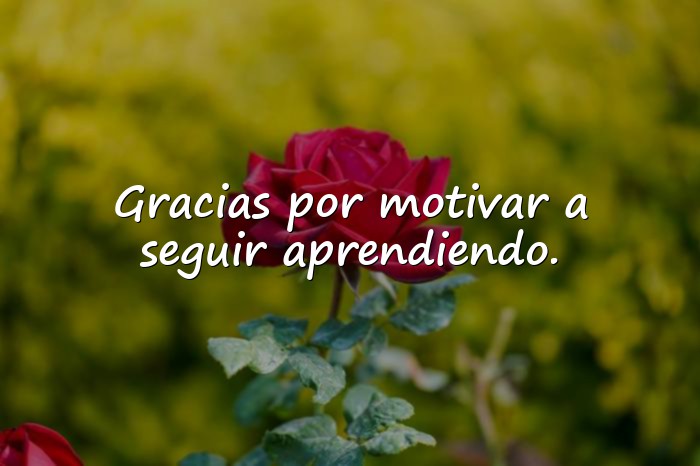 Imágenes frases para profesores - 6