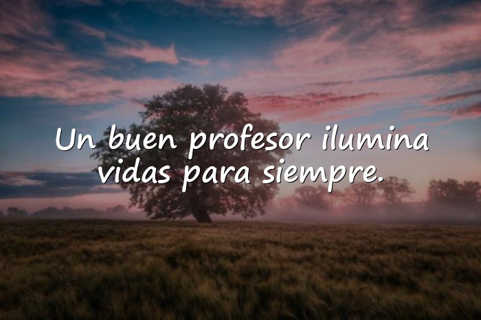 Imágenes frases para profesores - 1