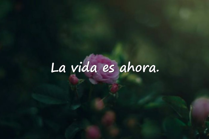 Imágenes frases para tik tok - 17