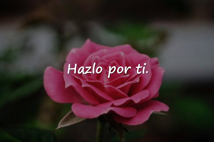 Imágenes frases para tik tok - 14