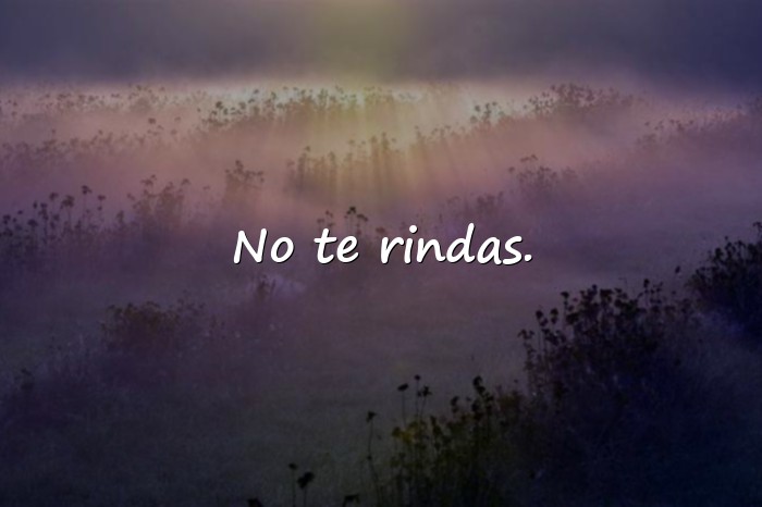 Imágenes frases para tik tok - 5