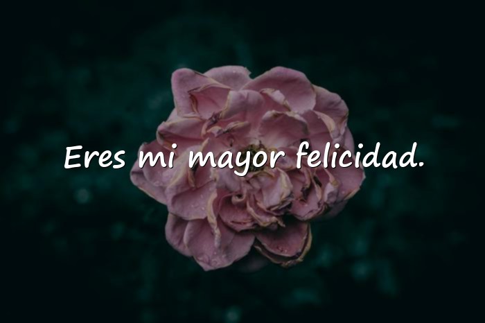 Imágenes frases para tu novia - 14