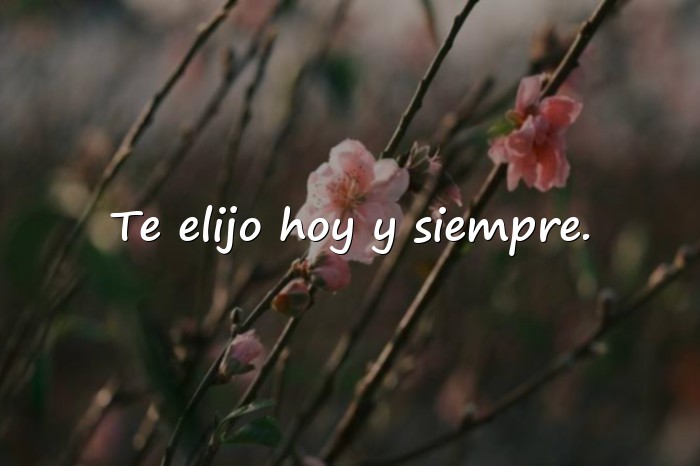 Imágenes frases para tu novia - 11