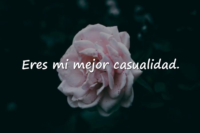 Imágenes frases para tu novia - 10