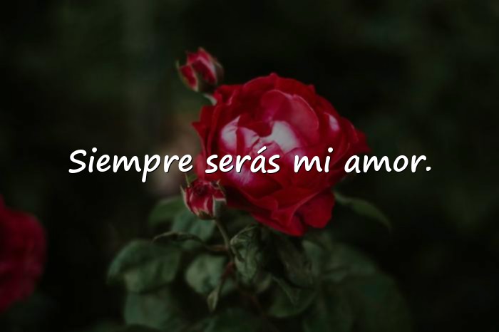 Imágenes frases para tu novia - 1