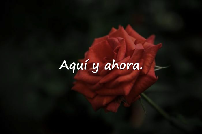 Imágenes frases para tus fotos - 6