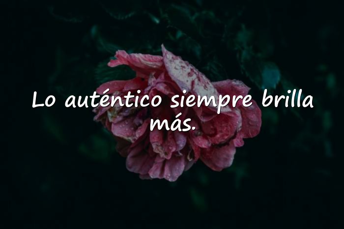 Imágenes frases para tus fotos - 2