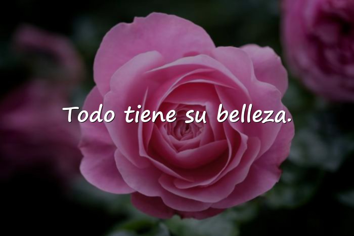 Imágenes frases para tus fotos - 18