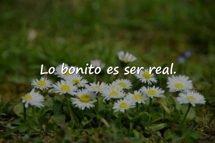 Imágenes frases para tus fotos - 10