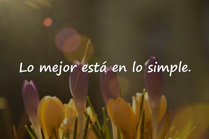 Imágenes frases para tus fotos - 8