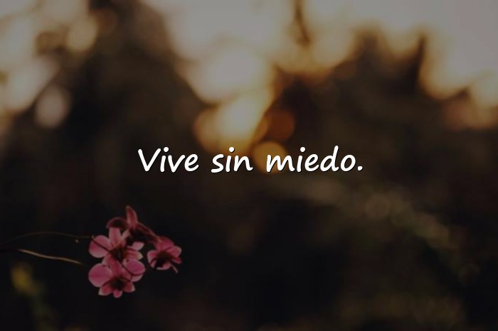 Imágenes frases para tus fotos - 3