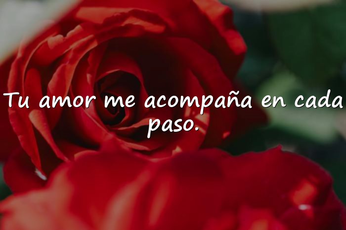 Imágenes frases para una madre - 5