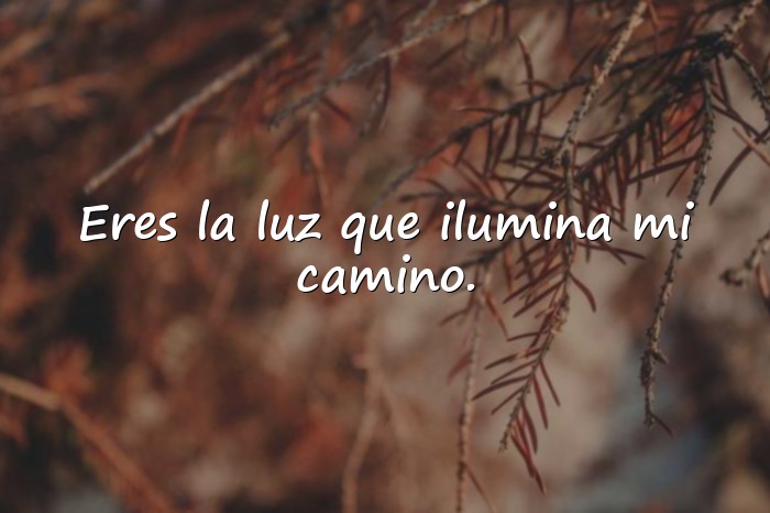 Imágenes frases para una madre - 25