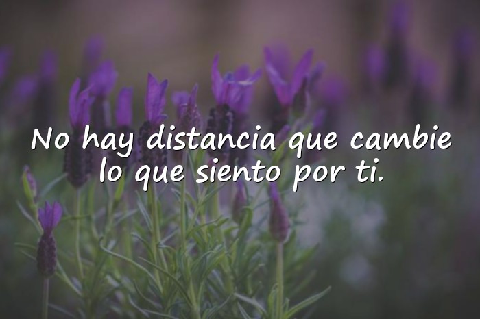 Imágenes frases para una madre - 17