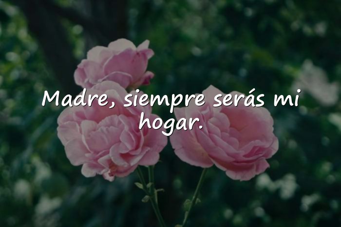 Imágenes frases para una madre - 13