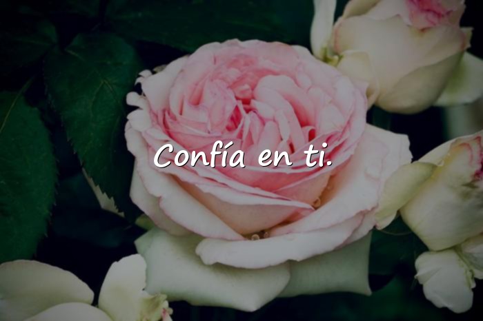 Imágenes frases para whatsapp - 12