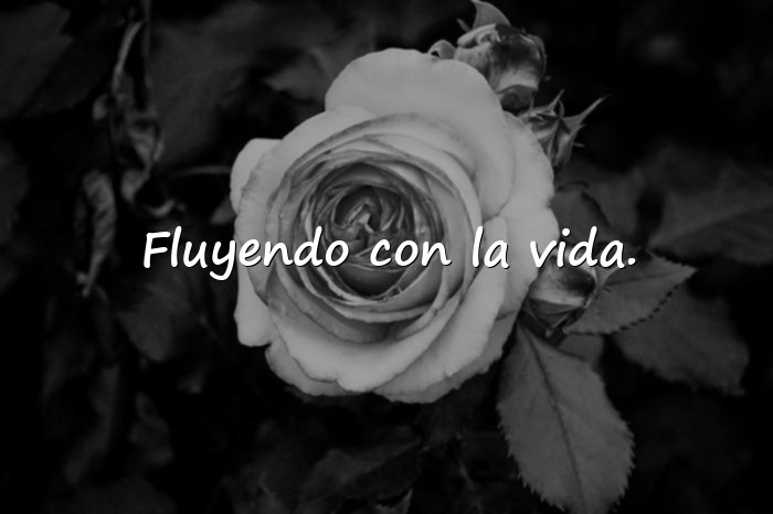 Imágenes frases para whatsapp - 10