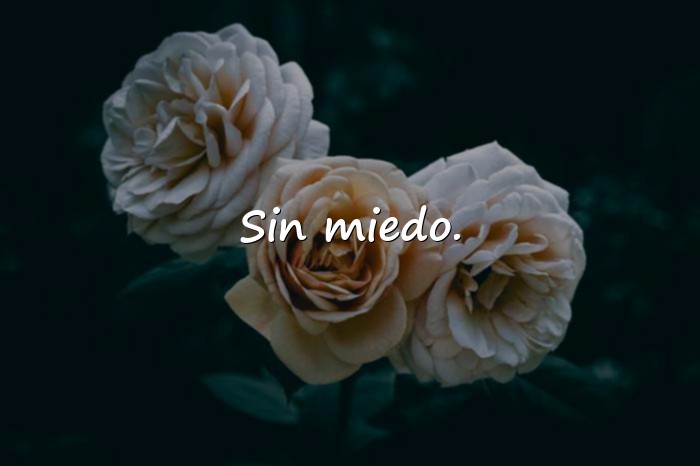 Imágenes frases para whatsapp - 7