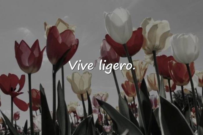 Imágenes frases para whatsapp - 4