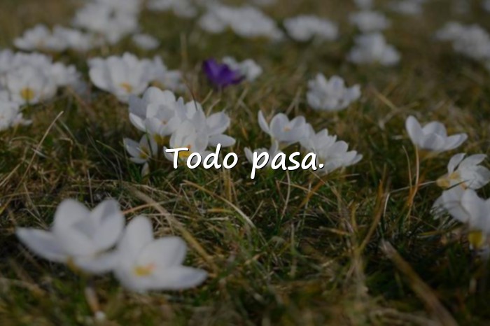 Imágenes frases para whatsapp - 3