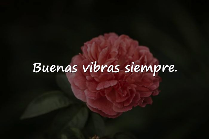 Imágenes frases para whatsapp - 1