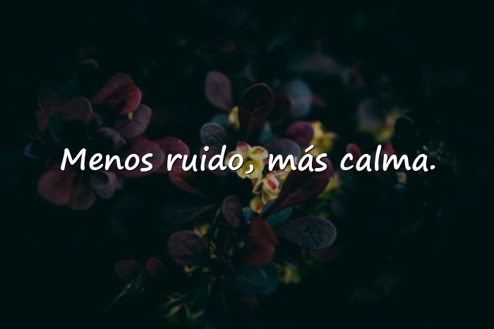 Imágenes frases para whatsapp originales - 14