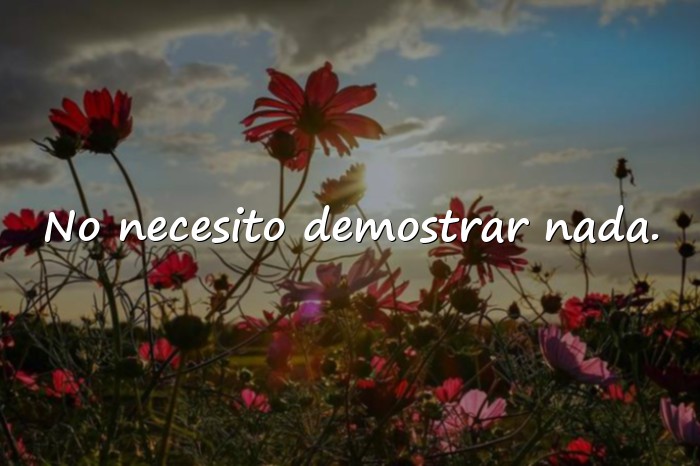 Imágenes frases para whatsapp originales - 6