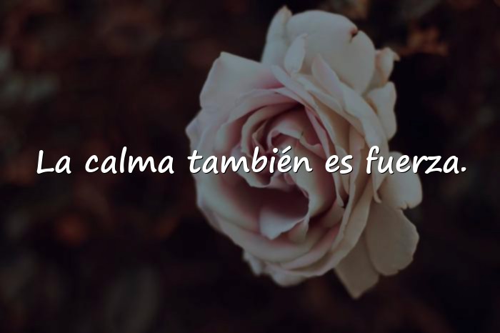 Imágenes frases para whatsapp originales - 12