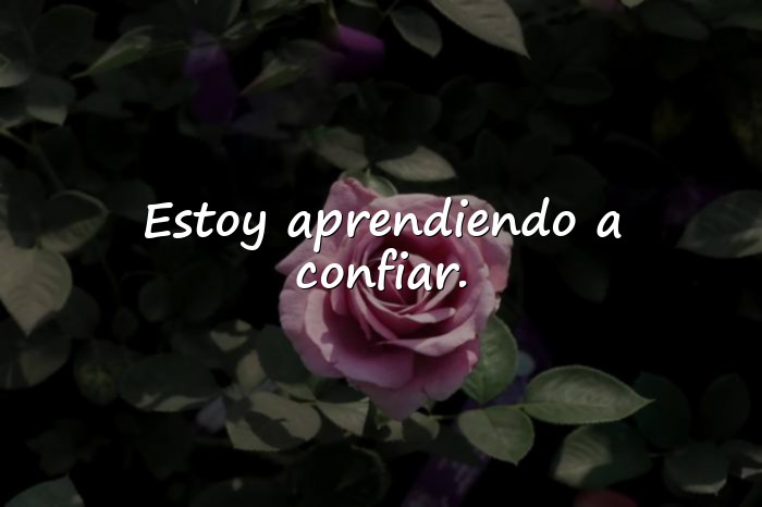 Imágenes frases para whatsapp originales - 10