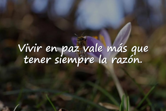 Imágenes frases paz - 20