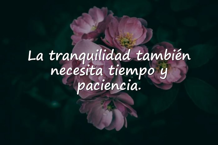 Imágenes frases paz - 10