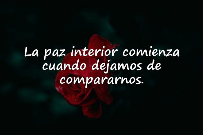 Imágenes frases paz - 6
