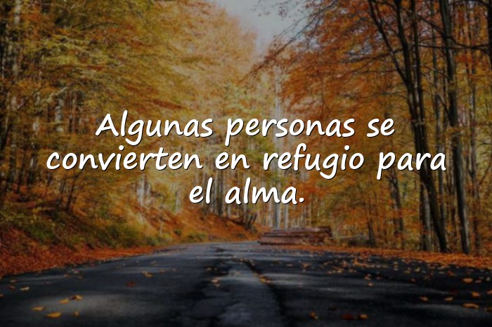 Imágenes frases paz - 1