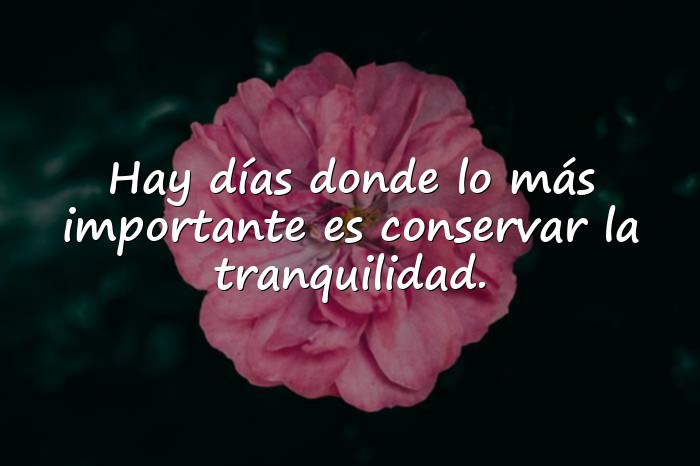 Imágenes frases paz - 21
