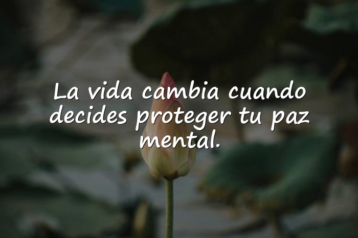 Imágenes frases paz - 16