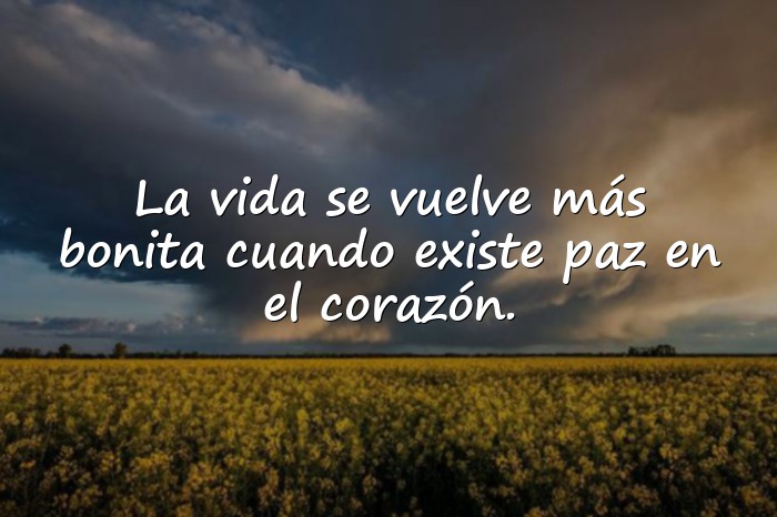 Imágenes frases paz - 6