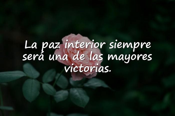 Imágenes frases paz - 1
