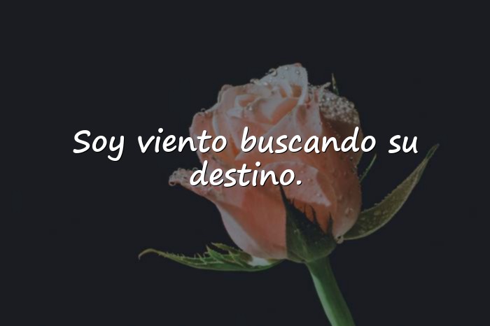 Imágenes frases poeticas - 21