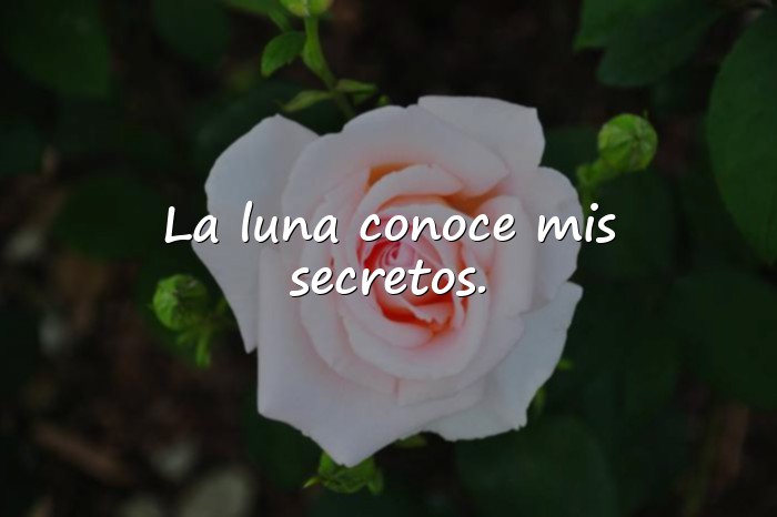 Imágenes frases poeticas - 16