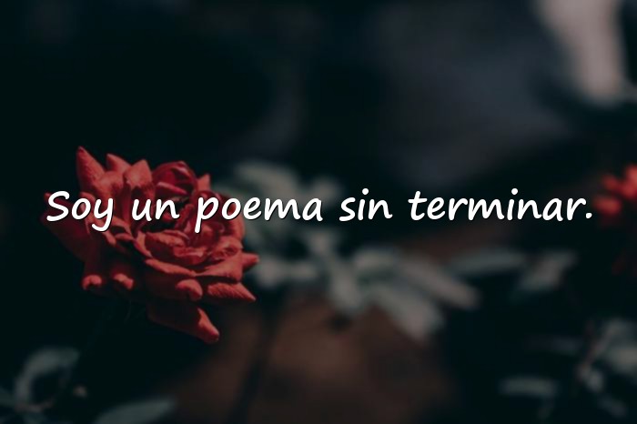 Imágenes frases poeticas - 11